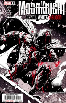 Moon Knight Black White and Blood #2
