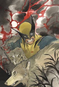 Wolverine (2024) #1 2nd Print Peach Momoko 1:25 Virgin Variant Cover