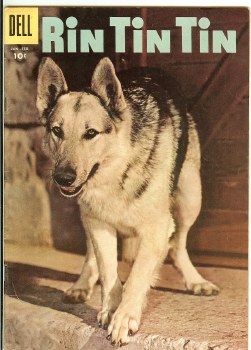 Rin Tin Tin #17