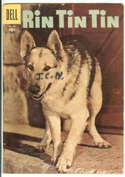 Rin Tin Tin #17