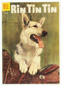 Rin Tin Tin #16