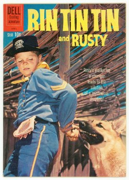 Rin Tin Tin #37