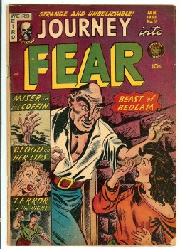 Journey Into Fear #11