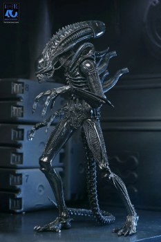 Aliens Warrior Xenomorph 40th Anniversary Ultimate 7" Figure