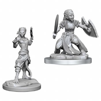 Dungeons and Dragons Nolzur's Marvelous Unpainted Shifter Fighter Miniatures