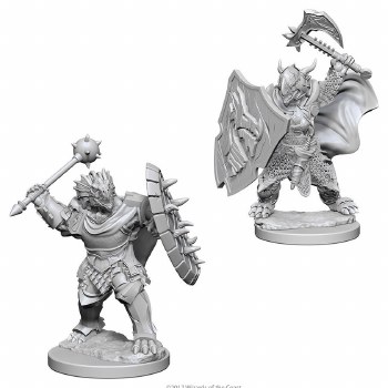 Dungeons and Dragons Nolzur's Marvelous Unpainted Dragonborn Male Paladin Miniatures