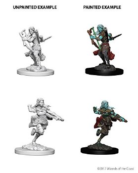 Dungeons and Dragons Nolzur's Marvelous Unpainted Air Genasi Female Rogue Miniatures