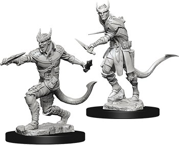 Dungeons and Dragons Nolzur's Tiefling Male Rogue Unpainted Miniature