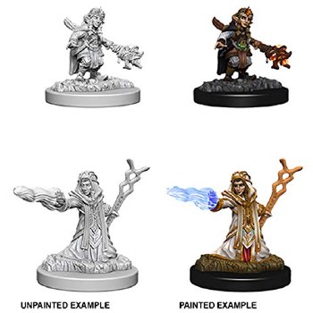 Dungeons and Dragons Nolzur's Marvelous Unpainted Gnome Female Wizard Miniatures