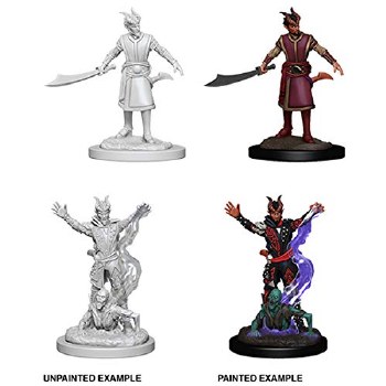 Dungeons and Dragons Nolzur's Marvelous Unpainted Tiefling Male Warlock Miniatures