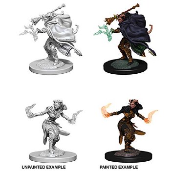 Dungeons and Dragons Nolzur's Marvelous Unpainted Tiefling Female Warlock Miniatures