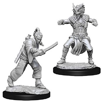 Dungeons and Dragons Nolzur's Marvelous Unpainted  Human Male Monk Miniatures