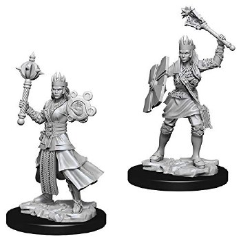 Dungeons and Dragons Nolzur's Marvelous Unpainted  Human Female Cleric Miniatures