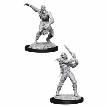 Dungeons and Dragons Nolzur's Marvelous Wight and Ghast Miniatures