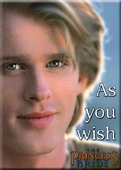 Princess Bride As You Wish Magnet