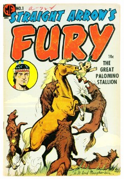 Straight Arrow's Fury #1