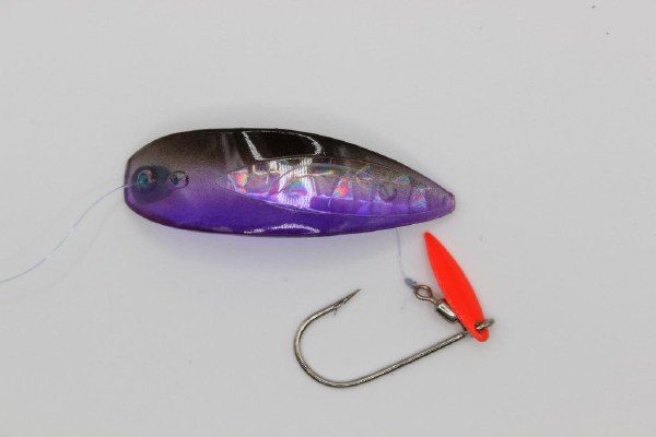 Hot Spot Apex 1.5" A2-093T Black Purple