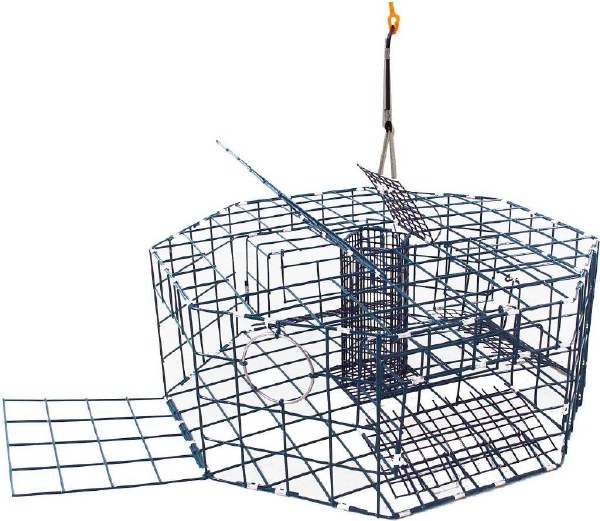 Danielson Crab Trap Octagon 3 Door Ramp