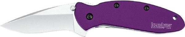 Kershaw Scallion Everyday Assisted Folder Purple