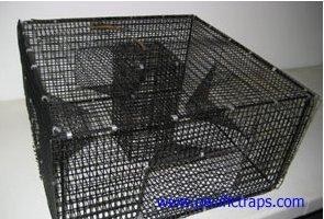 Bron's Vinyl Coated Steel Rigid Prawn Trap 24"