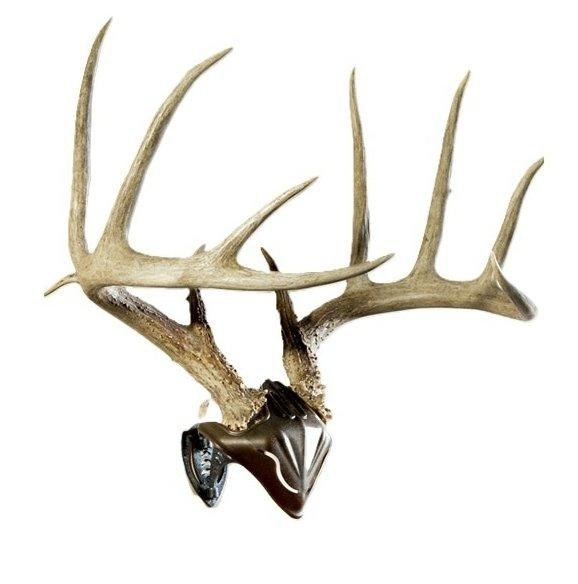 Skull Hooker Bone Bracket and Skull Cap Combo Kit Brown/Black