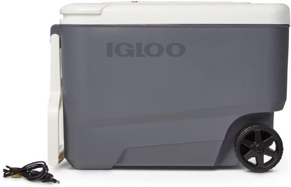 Igloo Versatemp 35 Qt Portable Electric Carbon/White Cooler