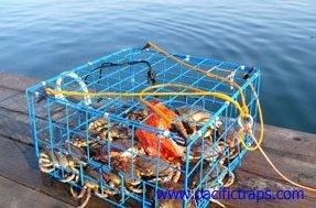Bron's Pacific 24" Folding Steel Crab Trap