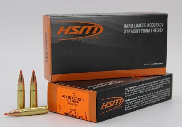 HSM 300 AAC Blackout 110gr V-Max