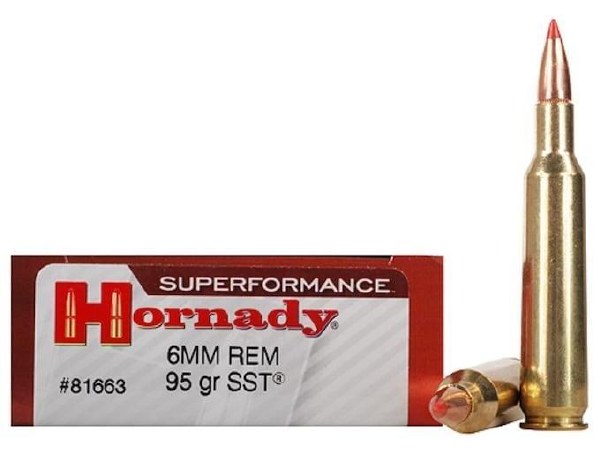 Hornady Superformance 6mm Rem 95gr SST