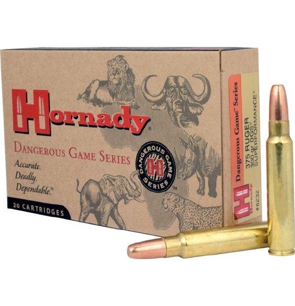 Hornady 375 Ruger 300gr DGS