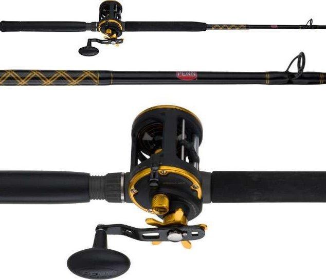 Penn Squall II Combo 20LW 6' Medium SQLII20W2030C60