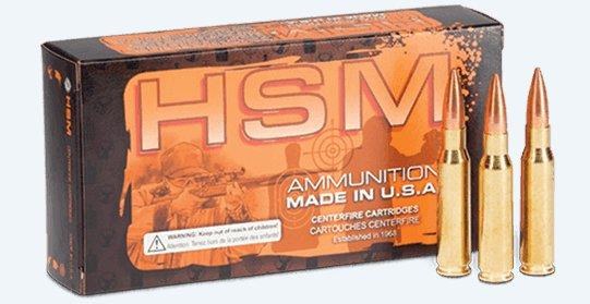 HSM 45-70 Govt 400gr Speer JFN 1800fps