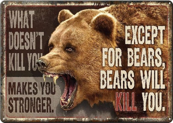 Rivers Edge Sign What Doesn't Kill You Execpt Bears