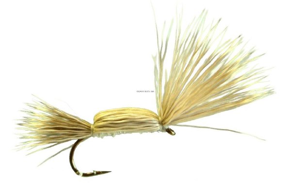 Superfly Dry Fly #12 Tom Thumb