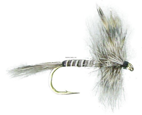 Superfly Dry Fly #14 Mosquito