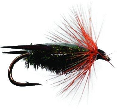 Superfly Nymph #10 Peacock Backswimmer