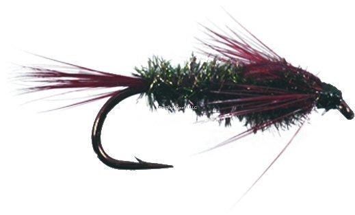 Superfly Nymph #8 Half Back