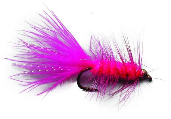 Superfly Salmon Fly #8 BH Wooley Bugger Pink
