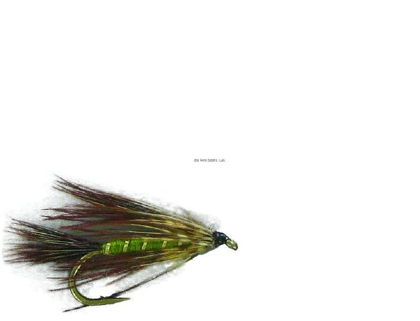 Superfly Streamer #8 Olive Carey Special