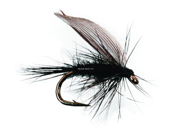 Superfly Wet Fly #08 Black Gnat