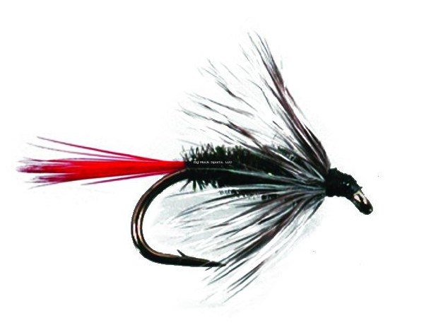 Superfly Wet Fly #10 Grey Hackle Peacock