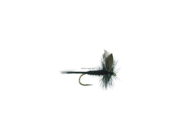 Superfly Wet Fly #12 Black Gnat
