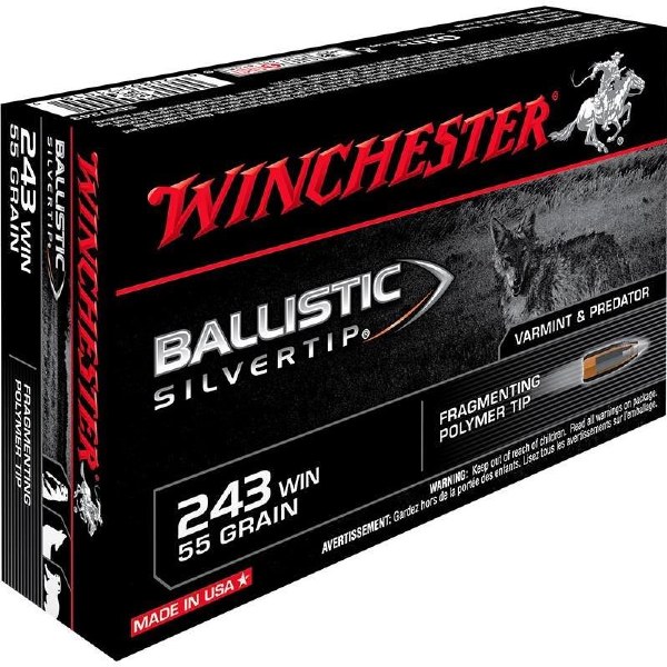 Winchester Ballistic Silvertip 243win 55gr