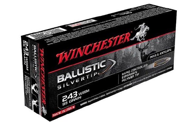 Winchester Supreme 243wssm  Ballistic Silver Tip 95GR