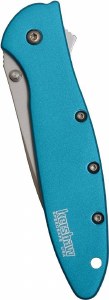 Additional picture of Kershaw Leek Everday Assisted Open Folder Teal