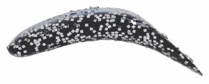 Yakima Bait Flatfish F-5 Skunk