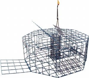 Danielson Crab Trap Octagon 3 Door Ramp