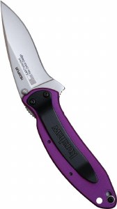 Additional picture of Kershaw Scallion Everyday Assisted Folder Purple