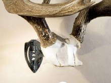 Additional picture of Skull Hooker Bone Bracket Black
