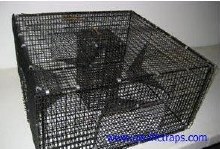 Bron's Vinyl Coated Steel Rigid Prawn Trap 24"